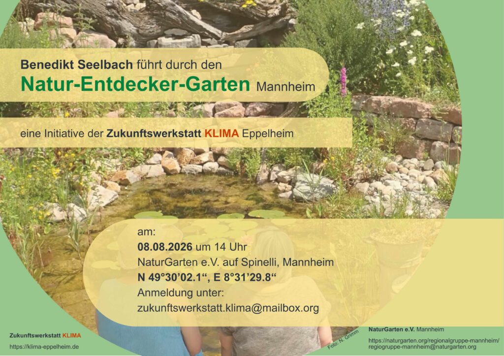 20260808 natur entdeckergarten3 quer