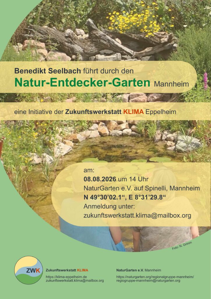 20260808 natur entdeckergarten2