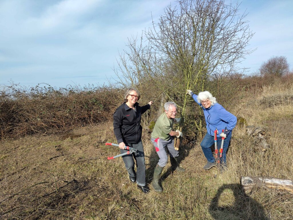 img 20260228 101903 kl