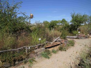 img 4866 b