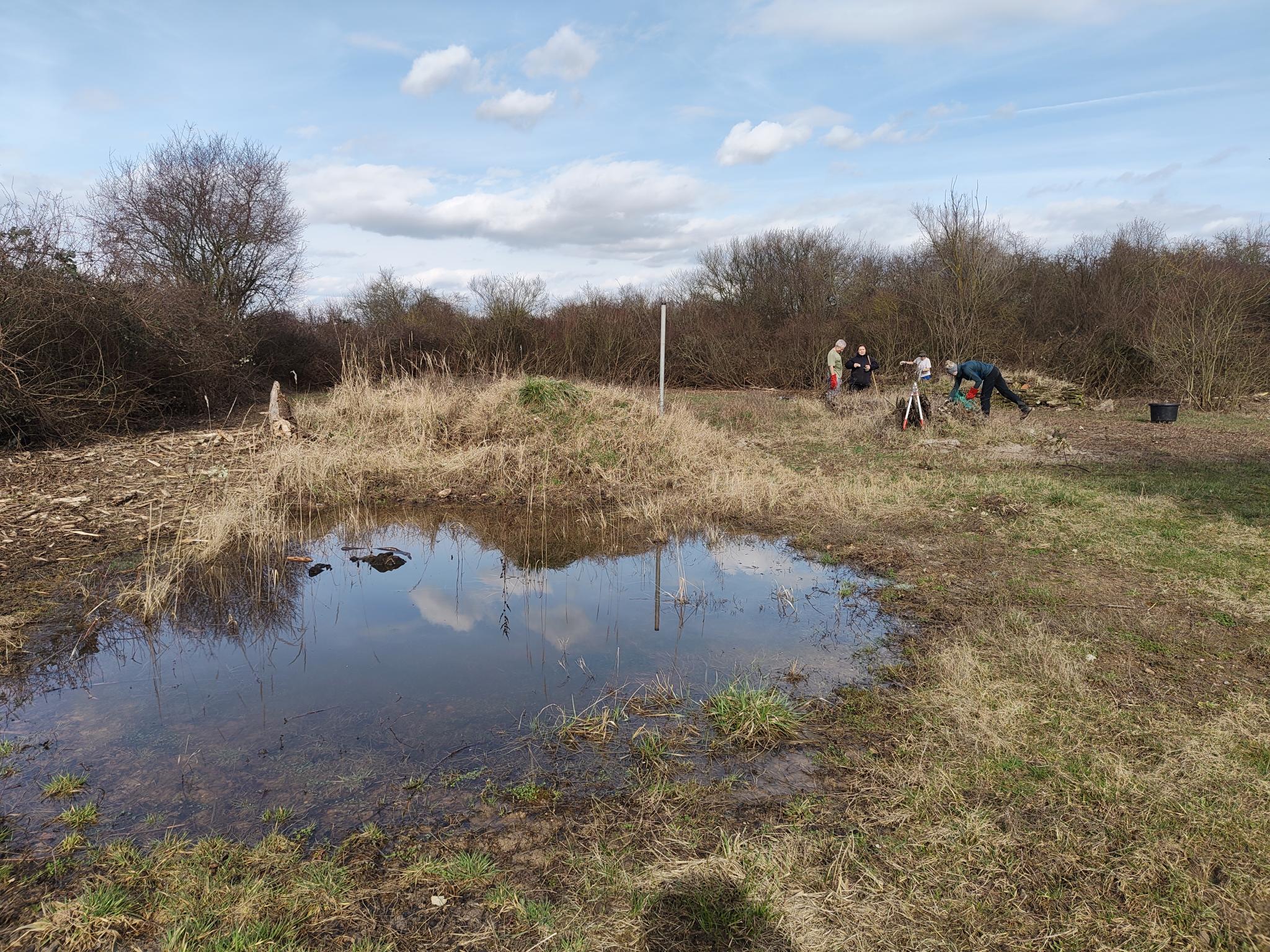 signal 2026 03 01 08 57 57 745